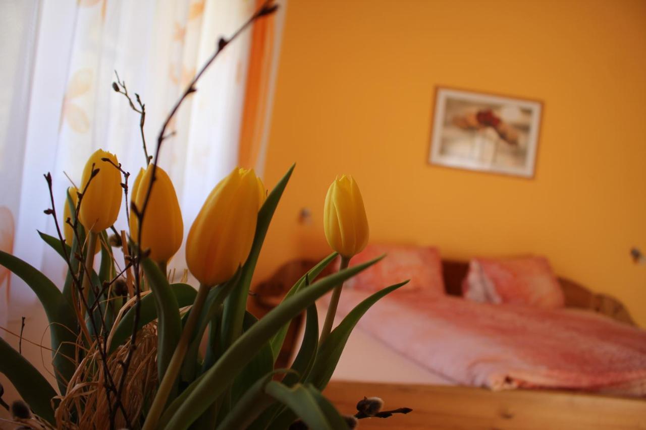 Hotel Haus Rupitsch Winklern  Exteriér fotografie
