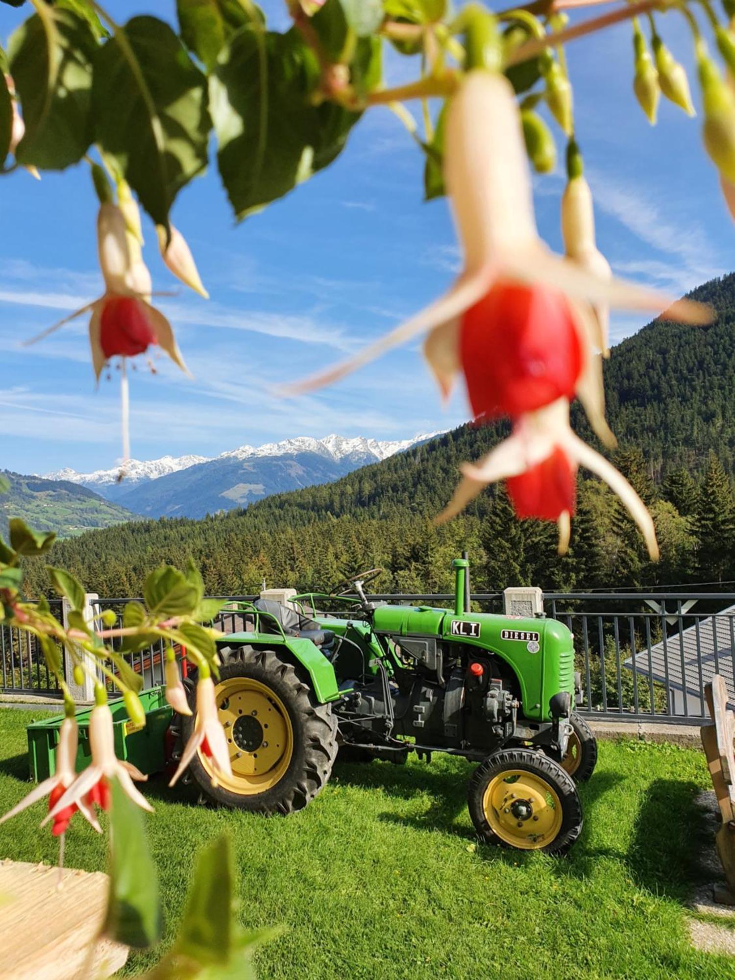 Hotel Haus Rupitsch Winklern  Exteriér fotografie