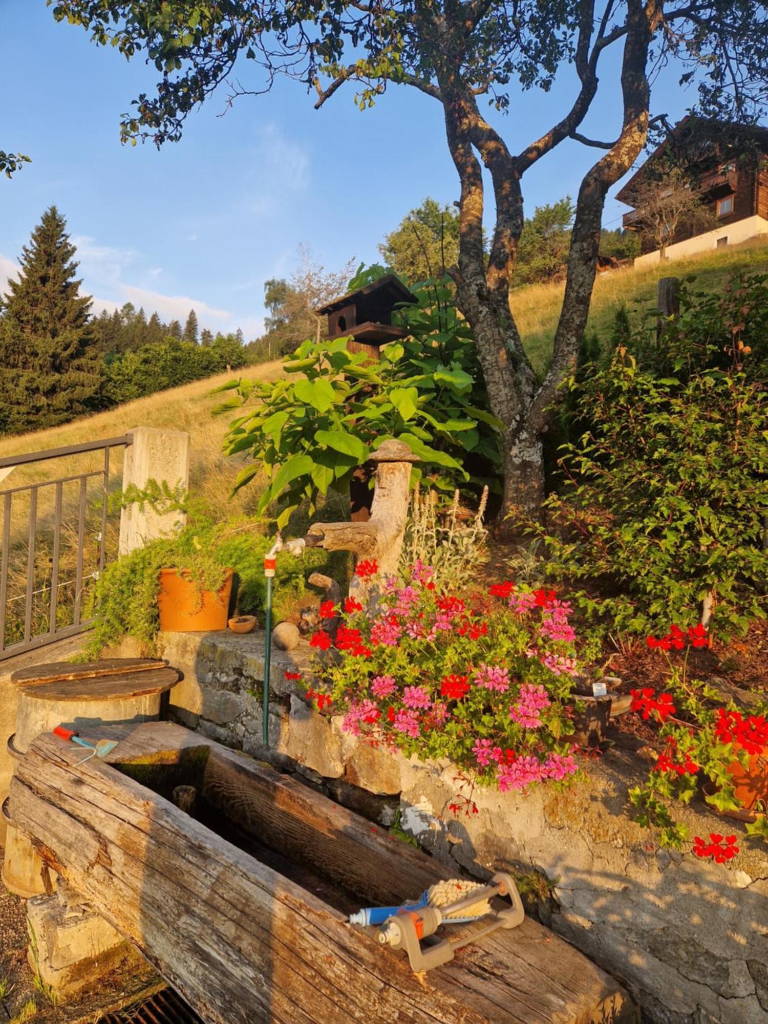 Hotel Haus Rupitsch Winklern  Exteriér fotografie